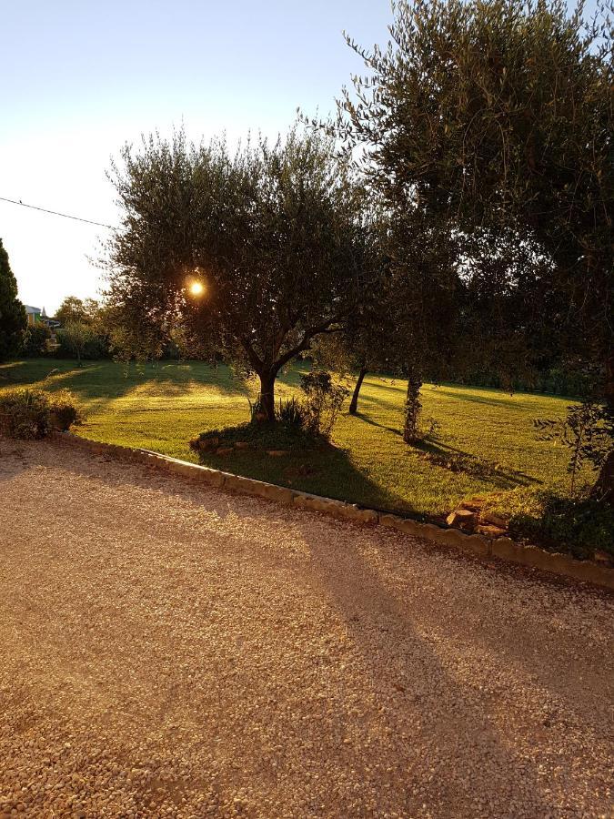Apartamento Casa In Campagna Alle Porte Di Rimini 3Min Fiera 3 Min Mare Exterior foto