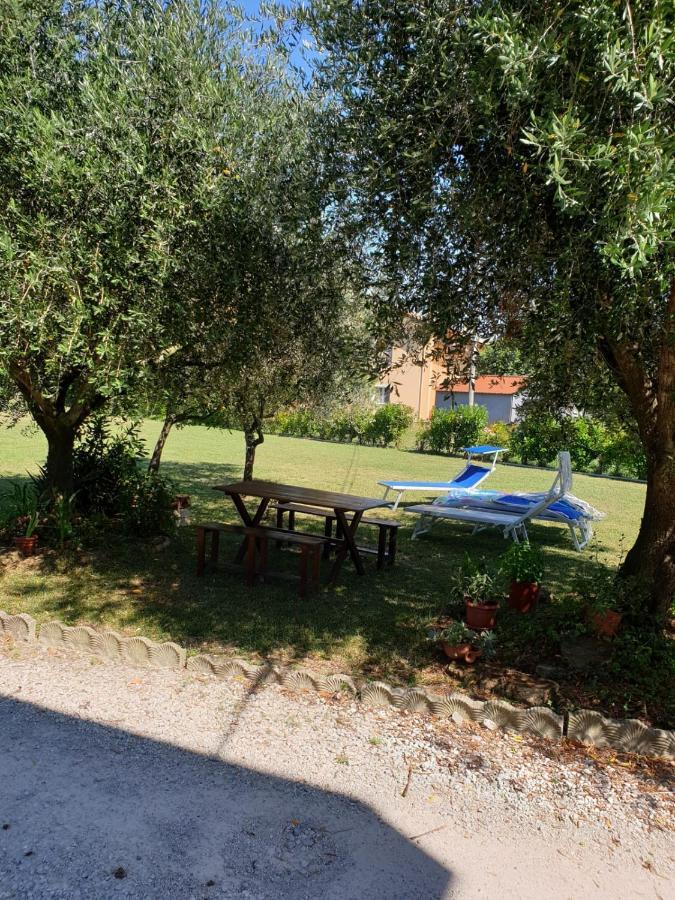 Apartamento Casa In Campagna Alle Porte Di Rimini 3Min Fiera 3 Min Mare Exterior foto